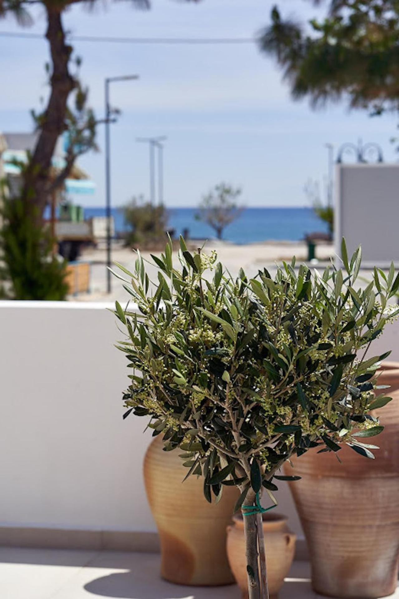 Sia Mare Seaside Apartments Фалираки Стая снимка